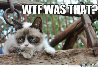 🤔 Grumpy Cat WTF WAS THAT? 暴躁猫, 表情包, 猫, 搞笑, wtf, 表情 whatsapp sticker