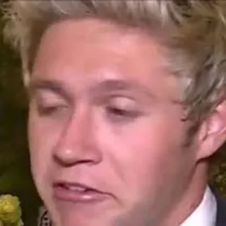 😵 Niall Horan celebrity, musician, singer, one direction, niall horan telegram sticker