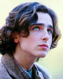 🦇 Timothée Chalamet actor, retrato, celebridad, hombre, persona telegram sticker
