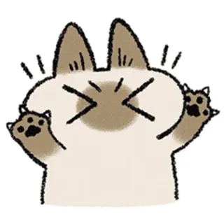 😣 cat, angry, cute, pet, animal, cartoon telegram sticker