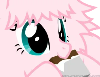 🤯 ASKFLUFFLEPUFE.TUMBLR.COM cartoon, eating, animal, pony, chocolate telegram sticker