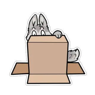 📦 wolf, doos, dier, cartoon, sticker telegram sticker
