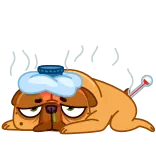 Harry The Frenchie telegram stickers