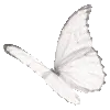 🦋