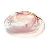 ๐