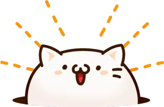 😳 kucing, lucu, senang, hewan, stiker telegram sticker