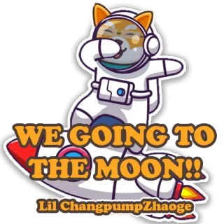 👌 WE GOING TO THE MOON!! Lil ChangpumpZhaoge doge, meme, maan, raket, cryptocurrency, ruimte, grappig telegram sticker