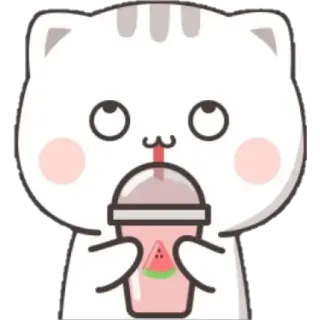 🍼 cat, kawaii, cute, animal, watermelon, drink whatsapp sticker