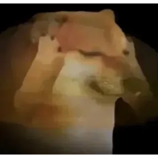 🤧 Doge Doge, Meme, Chó, Động vật telegram sticker