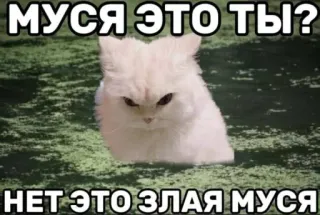 Больше стиков тут: @stikery4 whatsapp stickers