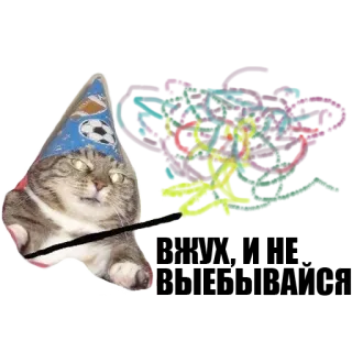✨ Happy Birthday! kat, verjaardag, feest, viering, sticker, dier, huisdier telegram sticker