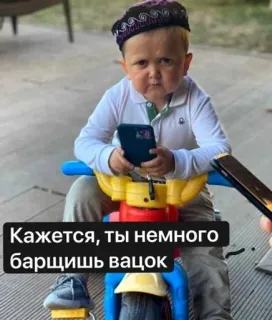 😕 Hasbulla Magomedov Кажется, ты немного барщишь вацок hasbulla, vatsok, russia, child telegram sticker