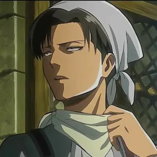 Levi ackerman~🌿 telegram stickers