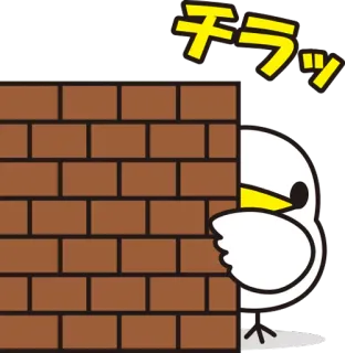 👁️ チラッ espiar, pássaro, parede, fofo, animal, escondido telegram sticker