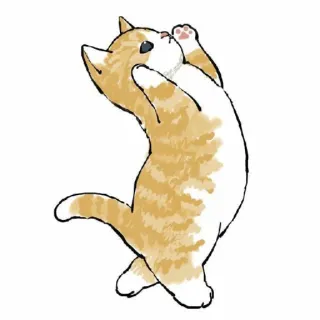 😀 gatto, carino, animale, animale domestico, disegno, illustrazione telegram sticker