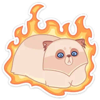 🔥 gato, chama, fogo, fofo, adesivo, animal, desenho animado telegram sticker