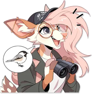 🦢 GO TAKE HI furry, fennic fox, birdwatching, binoculars, nature, glasses, cute, anthropomorphic whatsapp sticker