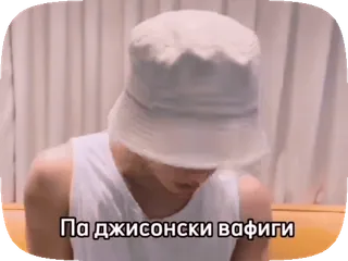 😧 Па джисонски вафиги whatsapp sticker