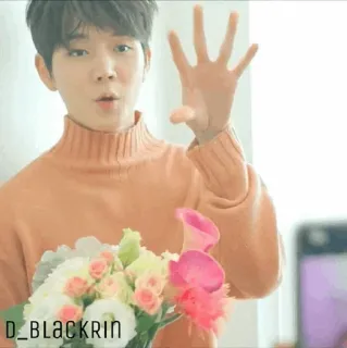 ✨ D_BLACKRIN koreanisch, Model, Person, Selfie, Blumen, Porträt telegram sticker