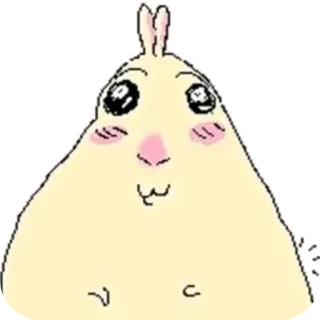 🐦 Usagi Opanchu Usagi telegram sticker