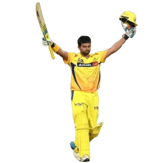 💯 Cricket, Schlagmann, Sport, Feier, Sieg whatsapp sticker