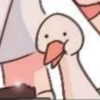 🦢 oie, canard, animal, dessin animé, mème whatsapp sticker