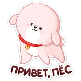 👋 ПРИВЕТ, ПЁС chien, animal, dessin animé, salutation, animal de compagnie, mignon telegram sticker