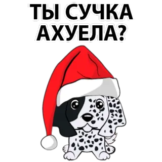😣 ТЫ СУЧКА АХУЕЛА? dog, christmas, swear word, insult, santa hat, russian telegram sticker
