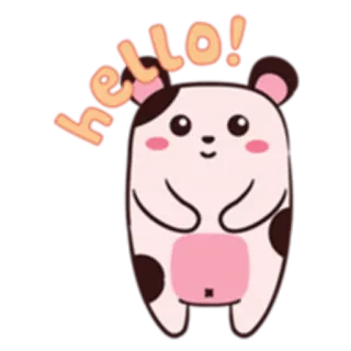 🙂 hello! mignon, animal, salutation, dessin animé, ours, kawaii whatsapp sticker