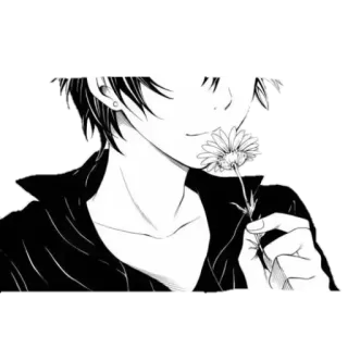 ♥️ anime, flor, manga, chico, blanco y negro telegram sticker