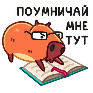 🤓 ПОУМНИЧАЙ МНЕ ТУТ คาปิบารา, หนังสือ, อ่าน, แว่นตา, สัตว์, การ์ตูน telegram sticker