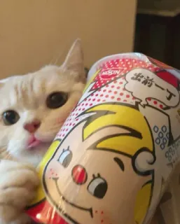 😻 前進一丁 gato, macarrão, fofo, animal, animal de estimação, comida, adesivo telegram sticker