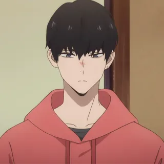💵 Anime, Männlich, Hoodie, Porträt telegram sticker