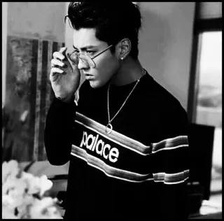 ➿ palace uomo, ritratto, moda, palazzo, occhiali da sole, maglione telegram sticker
