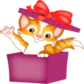 🎁 kat, kitten, cadeau, doos, geschenk, schattig, dier, viering whatsapp sticker