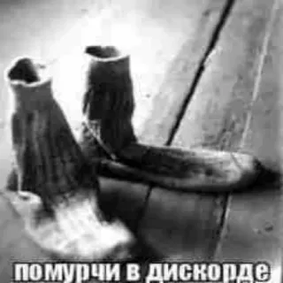 🧦 ПОМУРЧИ В ДИСКОРДЕ boots, discord, russian text, memes telegram sticker
