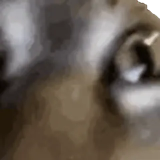 😡
