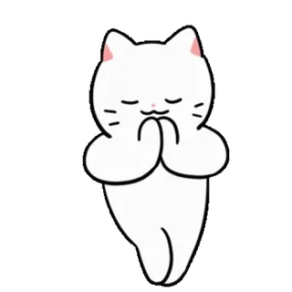 ❤️ chat, prière, mignon, animal, blanc, dessin animé telegram sticker