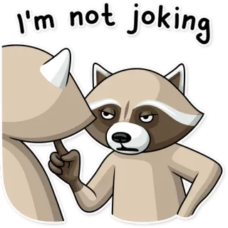 😡 I'm not joking szop, poważny, zwierzę, wskazujący, śmieszne, mem telegram sticker