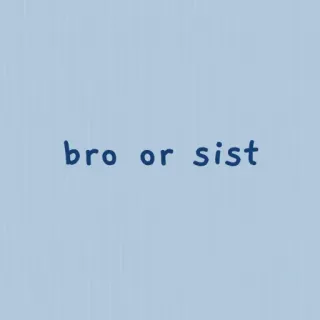 ✨ bro or sist hermano, hermana, hermanos, pregunta, género, familia whatsapp sticker