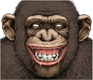 🐵 kera, monyet, binatang, primata, tersenyum, menyeramkan telegram sticker
