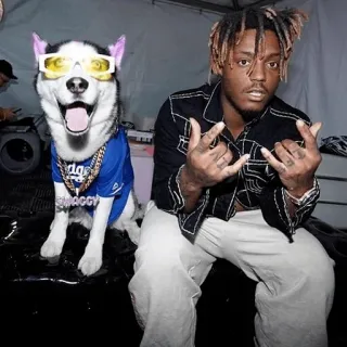 🤘 Juice WRLD rapper, chó, âm nhạc, kính râm, dây chuyền telegram sticker