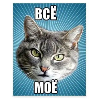🐱 ВСЁ МОЁ gato, meme, ruso, texto, todo, mío telegram sticker