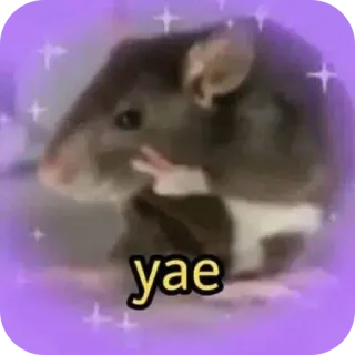 👄 yae rat, animal, symbole de paix, mème, mignon, paillettes, drôle telegram sticker