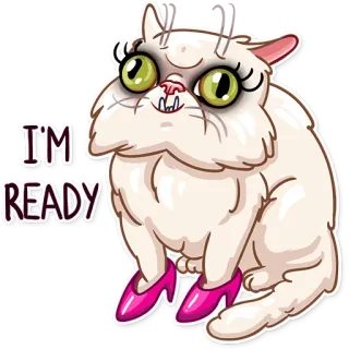 💄 I'M READY gato, listo, zapatos, humor, divertido, animal, dibujos animados telegram sticker