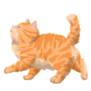 🧡 gatto, gatto soriano arancione, animale, animale domestico, felino, carino telegram sticker