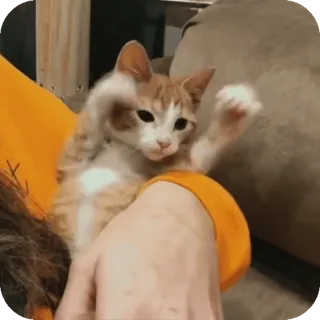 🥰 telegram sticker