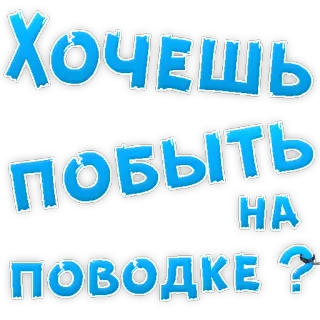 👌 ХОЧЕШЬ ПОБЫТЬ НА ПОВОДКЕ? russian text, question, leash, pet, dog telegram sticker