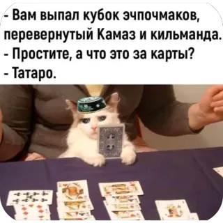 🫥 - Вам выпал кубок эчпочмаков, перевернутый Камаз и кильманда. - Простите, а что это за карты? - Татаро. telegram sticker