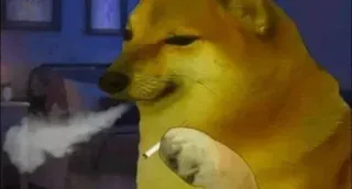 😎 dog, meme, smoking, cigarette, animal, cheems, funny telegram sticker